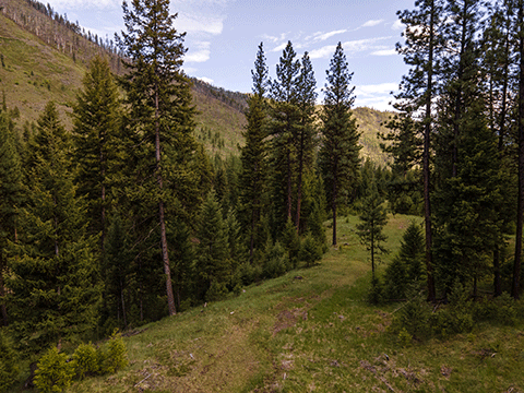 175 Campfire Trail Parcel B, Superior, MT 59872