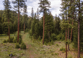 Nhn Campfire Trail Parcel C, Superior, MT 59872