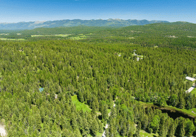245 Twin Lakes Road, Whitefish, MT 59937
