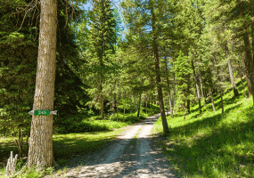 245 Twin Lakes Road, Whitefish, MT 59937