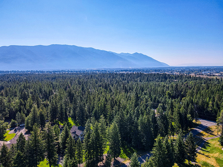 62 Tamarack Ridge, Columbia Falls, MT 59912