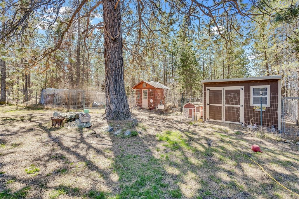300 Pleasant Valley, Marion, Flathead, Montana, United States 59925, 3 Bedrooms Bedrooms, ,2 BathroomsBathrooms,Single Family Home,For sale,Pleasant Valley,1754