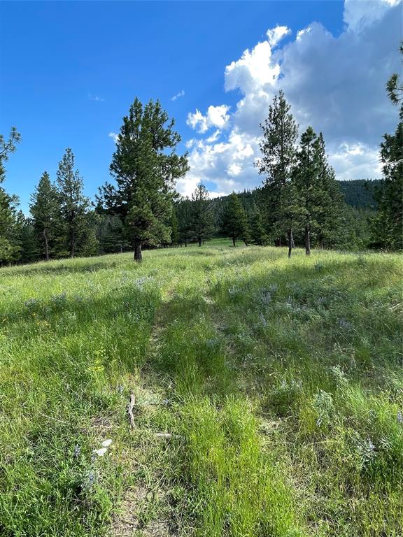 2424 Morning Dun Road, Missoula, Flathead, Montana, United States 59804, ,Land,For sale,Morning Dun Road,1775