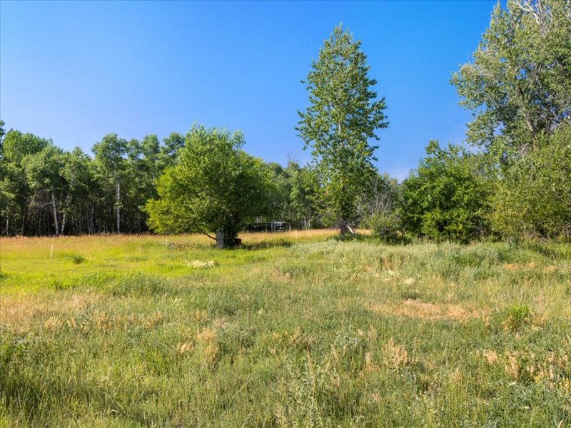 63 Rocky Creek Ln, Clyde Park, Park, Montana, United States 59081, ,Land,For sale,Rocky Creek Ln,1777