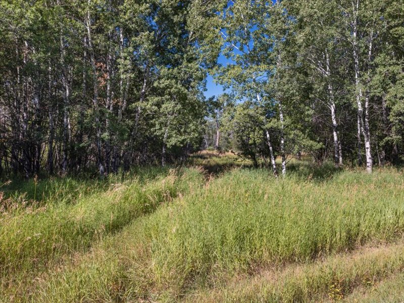 63 Rocky Creek Ln, Clyde Park, Park, Montana, United States 59081, ,Land,For sale,Rocky Creek Ln,1777