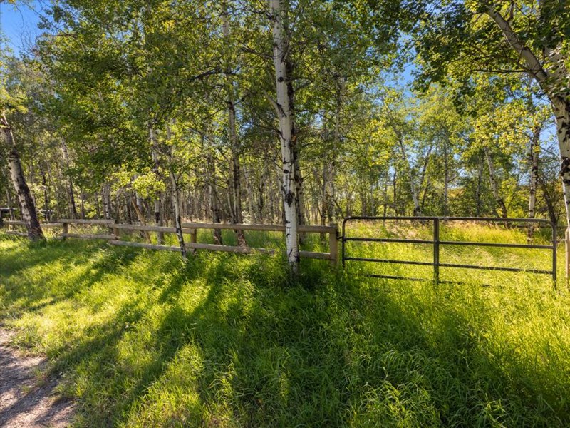 63 Rocky Creek Ln, Clyde Park, Park, Montana, United States 59081, ,Land,For sale,Rocky Creek Ln,1777