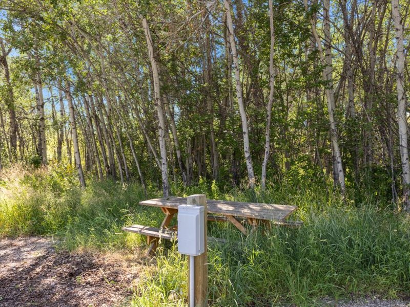 63 Rocky Creek Ln, Clyde Park, Park, Montana, United States 59081, ,Land,For sale,Rocky Creek Ln,1777