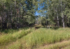 63 Rocky Creek Ln, Clyde Park, Park, Montana, United States 59081, ,Land,For sale,Rocky Creek Ln,1777