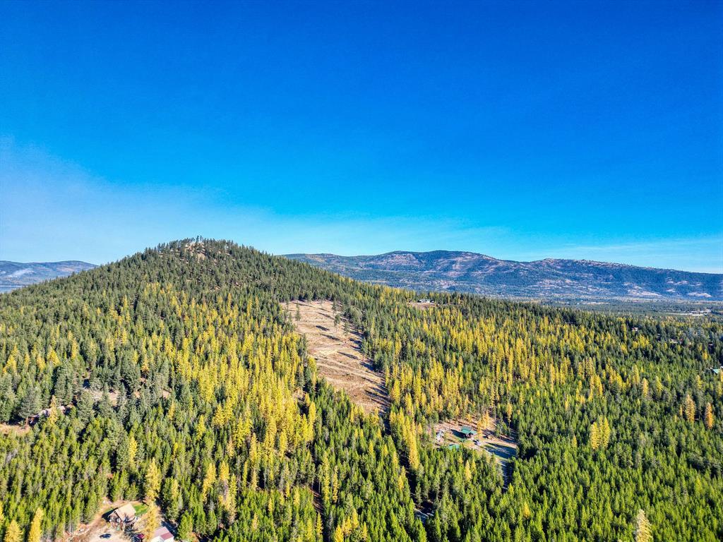 000 Bhong Lane, Marion, Flathead, Montana, United States 59925, ,Land,For sale,Bhong Lane,1782