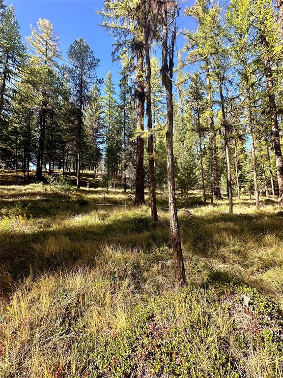 000 Bhong Lane, Marion, Flathead, Montana, United States 59925, ,Land,For sale,Bhong Lane,1782