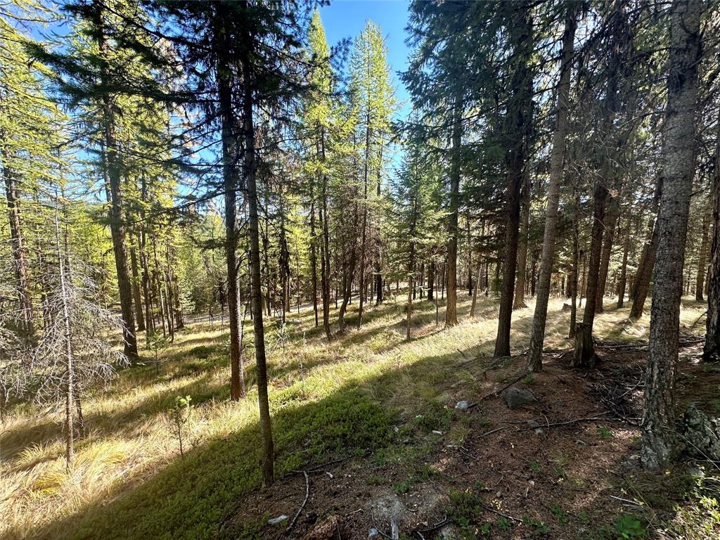 000 Bhong Lane, Marion, Flathead, Montana, United States 59925, ,Land,For sale,Bhong Lane,1782