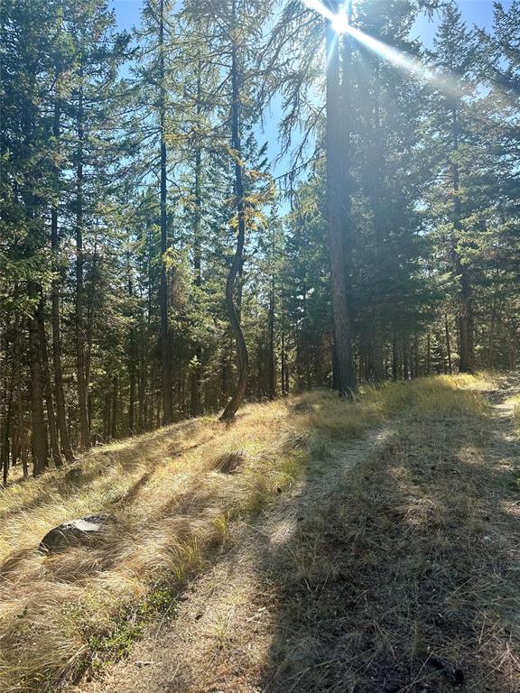 000 Bhong Lane, Marion, Flathead, Montana, United States 59925, ,Land,For sale,Bhong Lane,1782