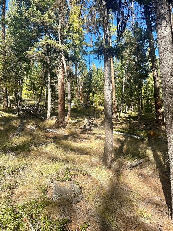 000 Bhong Lane, Marion, Flathead, Montana, United States 59925, ,Land,For sale,Bhong Lane,1782