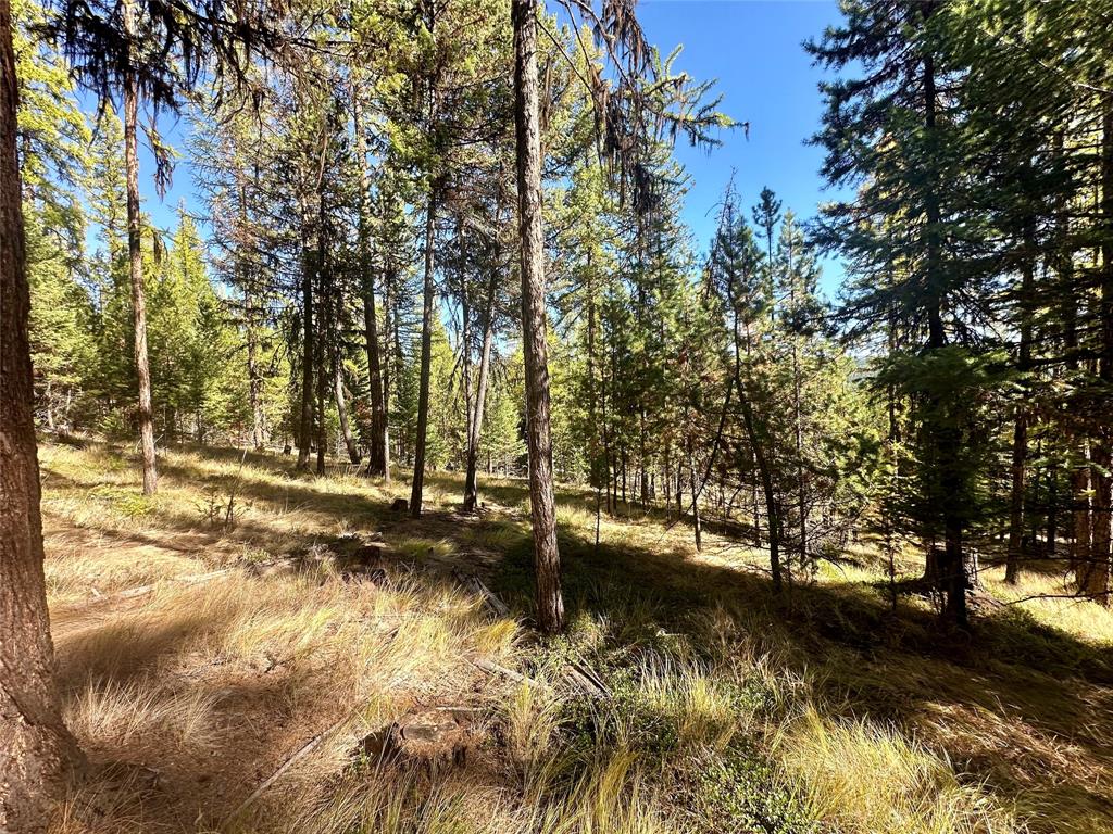 000 Bhong Lane, Marion, Flathead, Montana, United States 59925, ,Land,For sale,Bhong Lane,1782