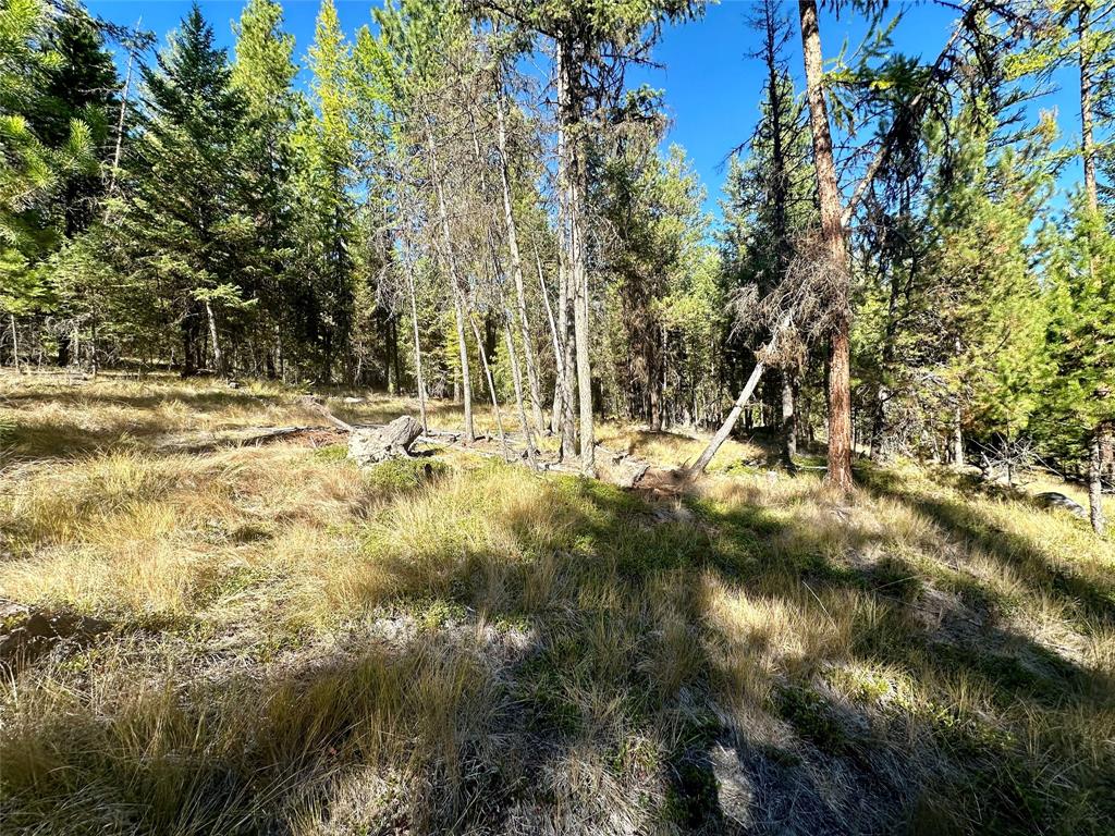 000 Bhong Lane, Marion, Flathead, Montana, United States 59925, ,Land,For sale,Bhong Lane,1782