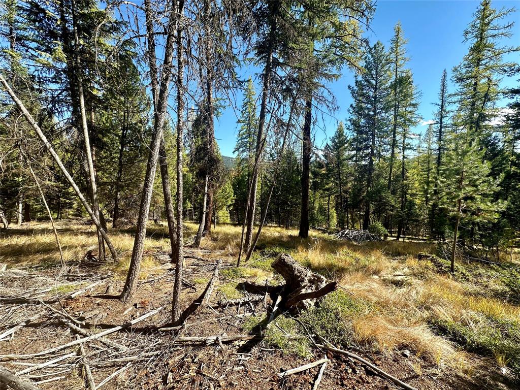 000 Bhong Lane, Marion, Flathead, Montana, United States 59925, ,Land,For sale,Bhong Lane,1782