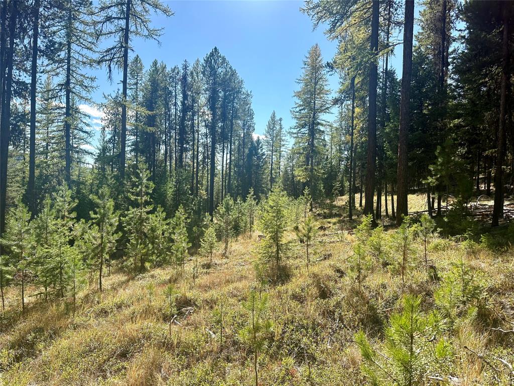 000 Bhong Lane, Marion, Flathead, Montana, United States 59925, ,Land,For sale,Bhong Lane,1782