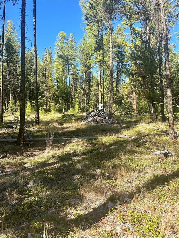 000 Bhong Lane, Marion, Flathead, Montana, United States 59925, ,Land,For sale,Bhong Lane,1782