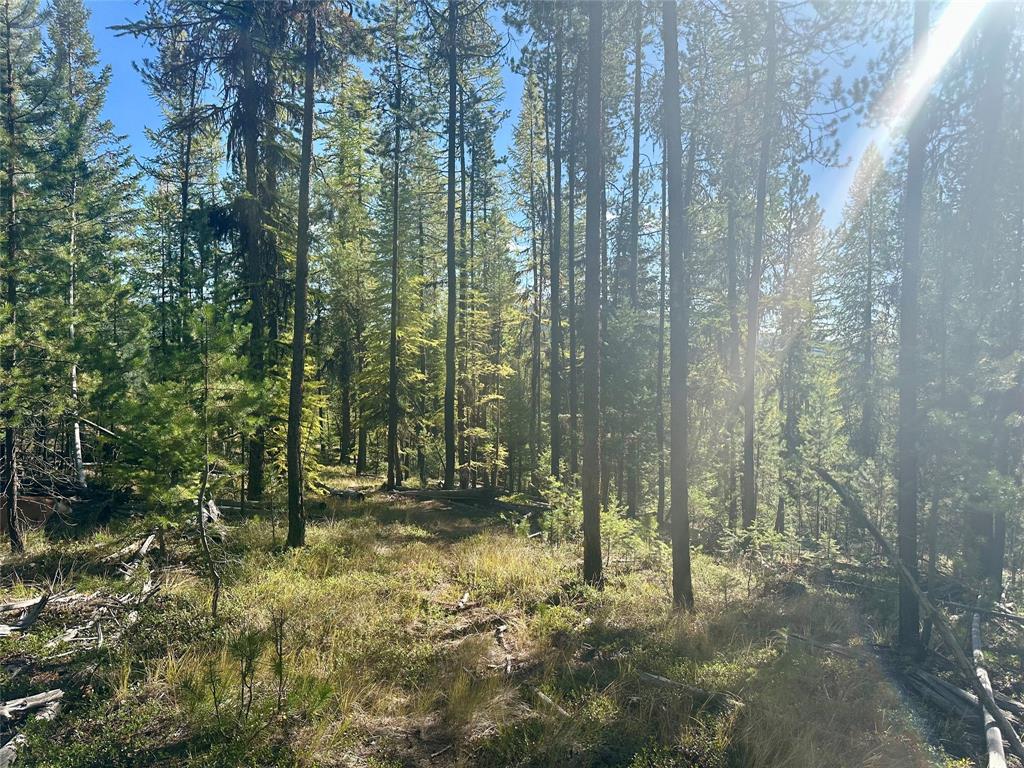 000 Bhong Lane, Marion, Flathead, Montana, United States 59925, ,Land,For sale,Bhong Lane,1782