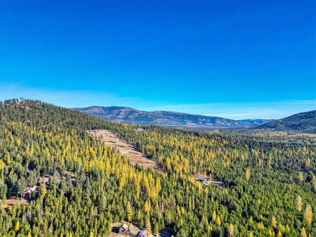 000 Bhong Lane, Marion, Flathead, Montana, United States 59925, ,Land,For sale,Bhong Lane,1782