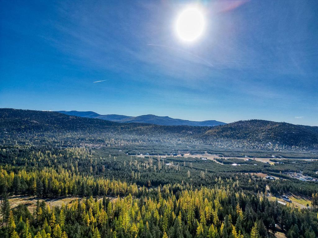 000 Bhong Lane, Marion, Flathead, Montana, United States 59925, ,Land,For sale,Bhong Lane,1782