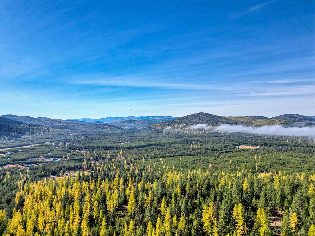 000 Bhong Lane, Marion, Flathead, Montana, United States 59925, ,Land,For sale,Bhong Lane,1782