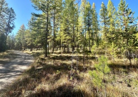 000 Bhong Lane, Marion, Flathead, Montana, United States 59925, ,Land,For sale,Bhong Lane,1782