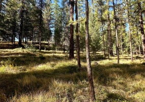 000 Bhong Lane, Marion, Flathead, Montana, United States 59925, ,Land,For sale,Bhong Lane,1782