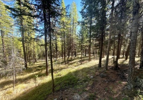 000 Bhong Lane, Marion, Flathead, Montana, United States 59925, ,Land,For sale,Bhong Lane,1782