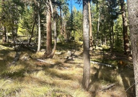 000 Bhong Lane, Marion, Flathead, Montana, United States 59925, ,Land,For sale,Bhong Lane,1782