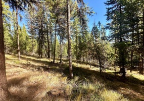 000 Bhong Lane, Marion, Flathead, Montana, United States 59925, ,Land,For sale,Bhong Lane,1782