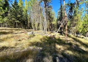 000 Bhong Lane, Marion, Flathead, Montana, United States 59925, ,Land,For sale,Bhong Lane,1782