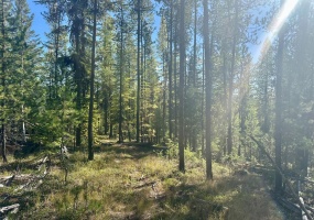 000 Bhong Lane, Marion, Flathead, Montana, United States 59925, ,Land,For sale,Bhong Lane,1782