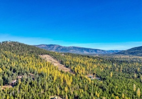 000 Bhong Lane, Marion, Flathead, Montana, United States 59925, ,Land,For sale,Bhong Lane,1782