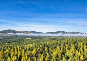 000 Bhong Lane, Marion, Flathead, Montana, United States 59925, ,Land,For sale,Bhong Lane,1782