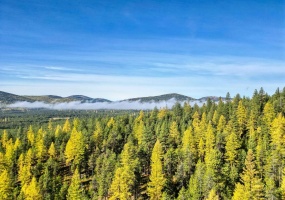 000 Bhong Lane, Marion, Flathead, Montana, United States 59925, ,Land,For sale,Bhong Lane,1782