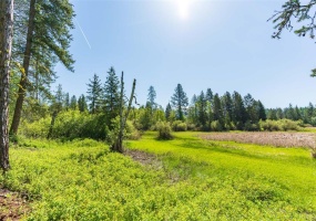 161 Hastings Trail, Columbia Falls, Flahtead, Montana, United States 59912, 4 Bedrooms Bedrooms, ,3 BathroomsBathrooms,Single Family Home,For sale,Hastings Trail,1821
