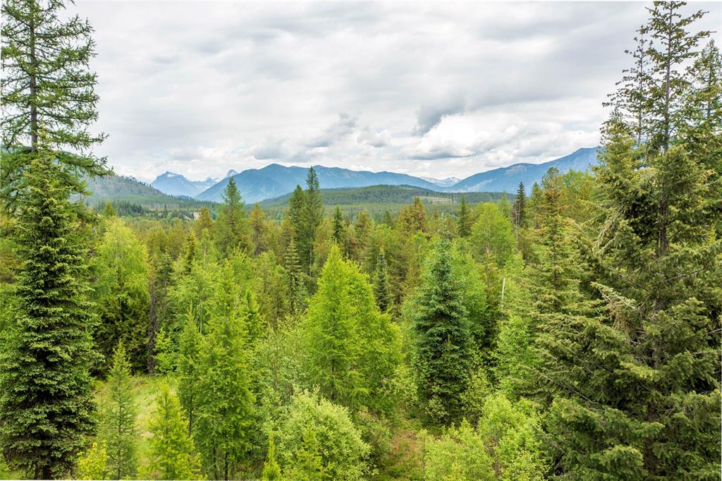 599 Talon Trail, Columbia Falls, Flathead, Montana, United States 59912, 3 Bedrooms Bedrooms, ,5 BathroomsBathrooms,Single Family Home,For sale,Talon Trail,1823