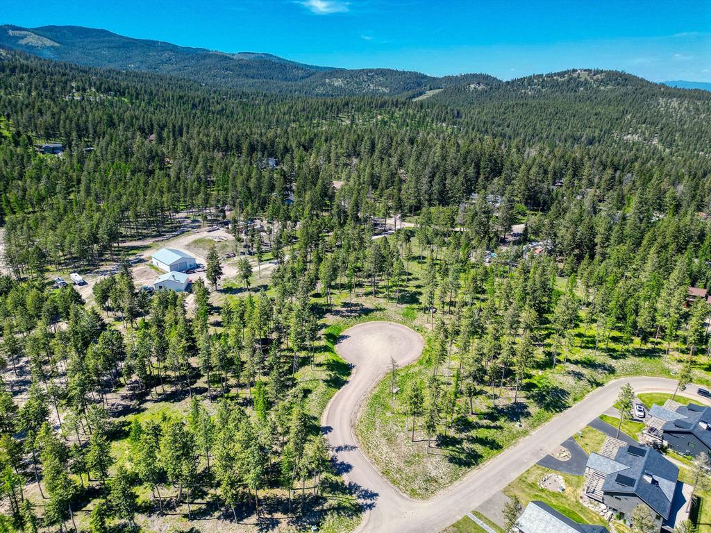 16 Blacktail Court, Lakeside, Flathead, Montana, United States 59922, ,Land,For sale,Blacktail Court,1825