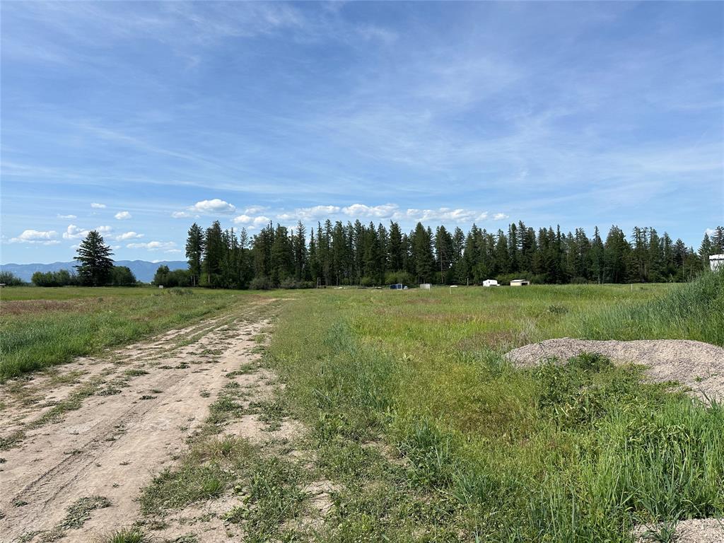 137 Glacier Flats Road, Kalispell, Flathead, Montana, United States 59901, ,Land,For sale,Glacier Flats Road,1828