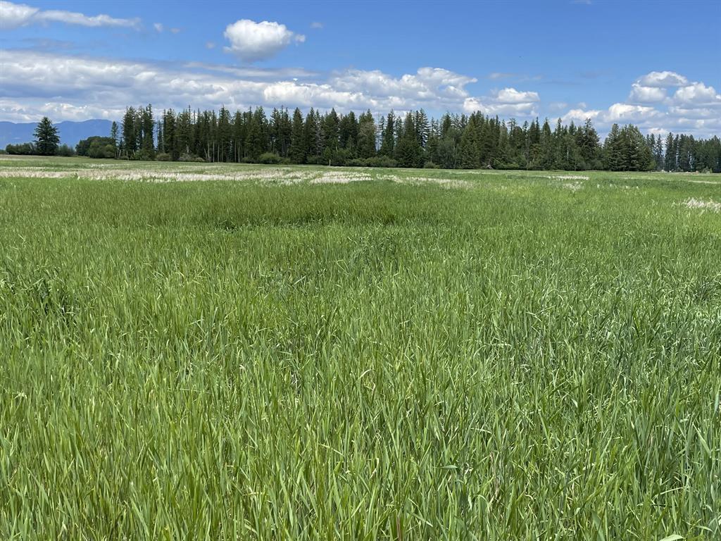 137 Glacier Flats Road, Kalispell, Flathead, Montana, United States 59901, ,Land,For sale,Glacier Flats Road,1828